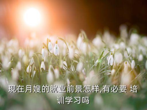 现在月嫂的就业前景怎样,有必要 培训学习吗