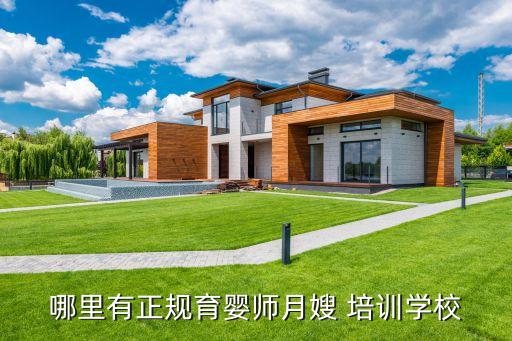 哪里有正规育婴师月嫂 培训学校