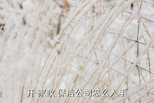开 家政 保洁公司怎么入手