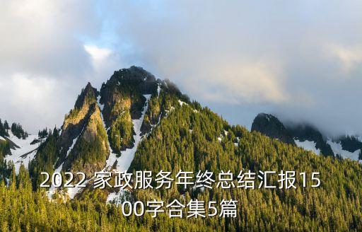 2022 家政服务年终总结汇报1500字合集5篇