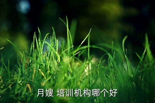月嫂 培训机构哪个好