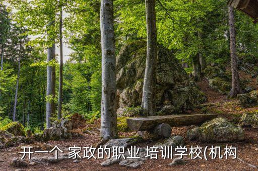 开一个 家政的职业 培训学校(机构