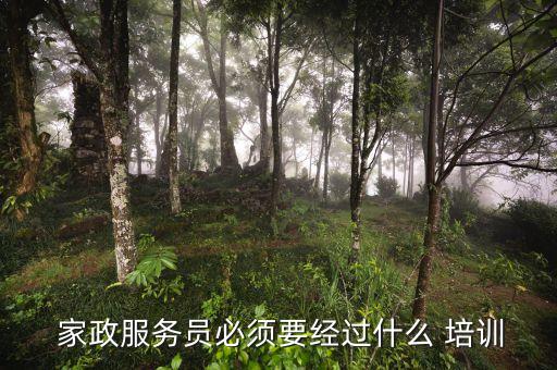 河北家政流程培训,中山家政保洁培训流程