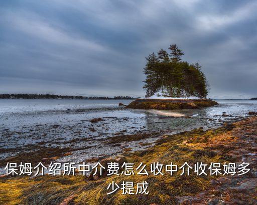 保姆介绍所中介费怎么收中介收保姆多少提成