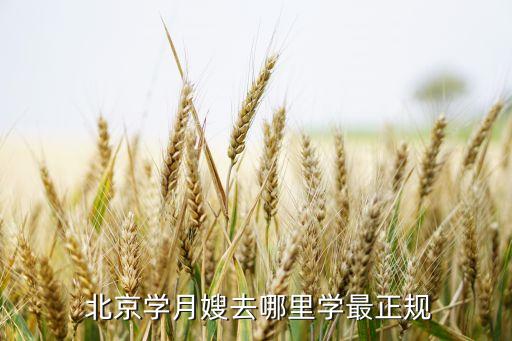  北京学月嫂去哪里学最正规