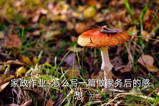  家政作业~怎么写一篇做家务后的感想