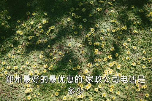 东明免费培训家政住址