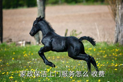 家政公司收费表,在家政公司找工作怎么收费的