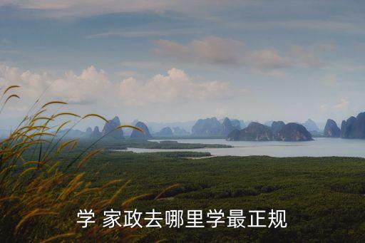 学 家政去哪里学最正规