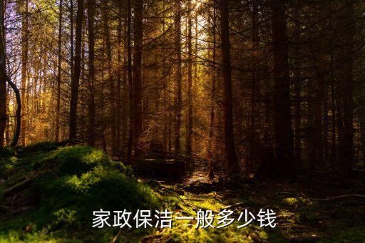 拉萨规范家政公司收费,拉萨有几家家政公司