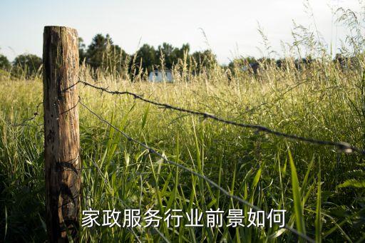  家政服务行业前景如何