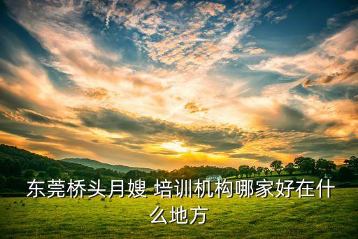  东莞桥头月嫂 培训机构哪家好在什么地方