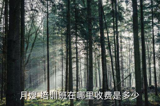 月嫂 培训班在哪里收费是多少