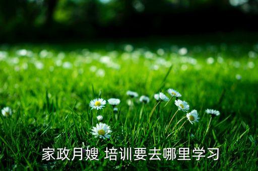  家政月嫂 培训要去哪里学习