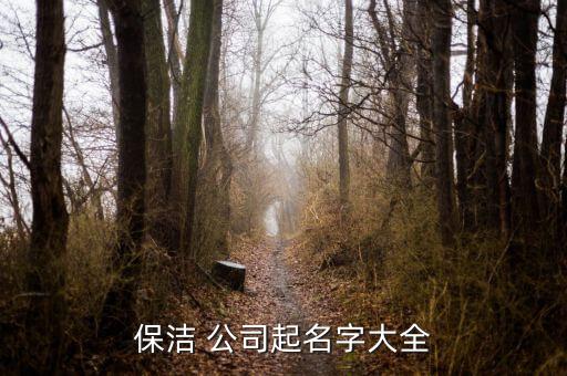 保洁 公司起名字大全