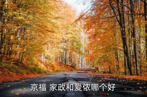 石家庄福嫂家政培训服务,福嫂家政 石家庄