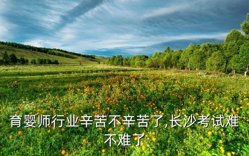 育婴师行业辛苦不辛苦了,长沙考试难不难了