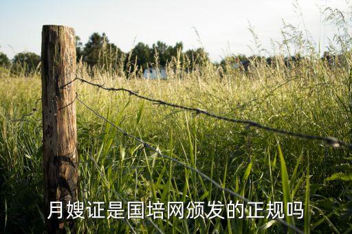 月嫂证是国培网颁发的正规吗