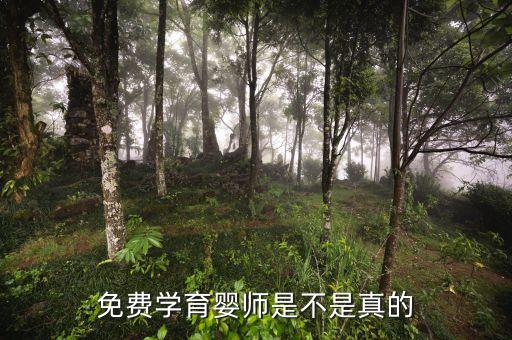 免费学育婴师是不是真的