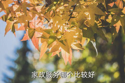 管家帮商学院家政培训师