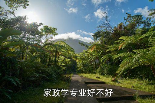  家政学专业好不好
