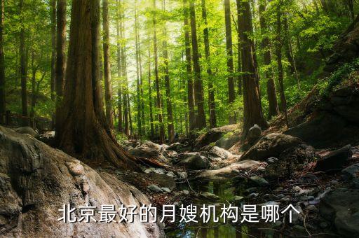 朝阳家政培训哪家好,济宁家政培训哪家正规