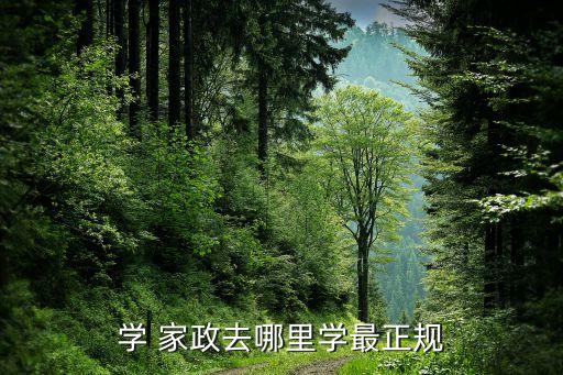 学 家政去哪里学最正规
