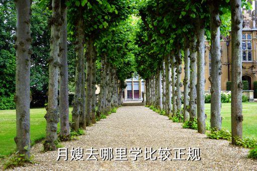 月嫂去哪里学比较正规