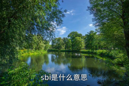 sbi是什么意思