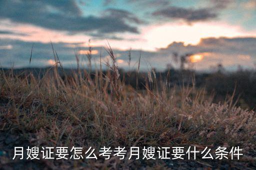 月嫂证要怎么考考月嫂证要什么条件