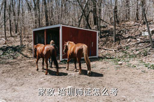  家政 培训师证怎么考