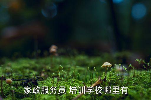  家政服务员 培训学校哪里有