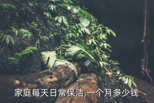 家庭每天日常保洁,一个月多少钱