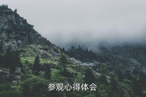 参观心得体会