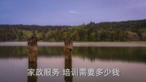 大连育儿家政培训学习,家政育儿嫂培训