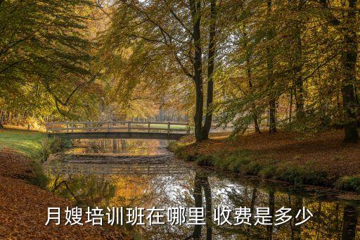 月嫂培训班在哪里 收费是多少