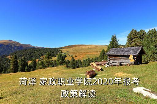  菏泽 家政职业学院2020年报考政策解读
