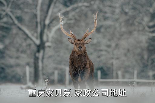 重庆家贝爱 家政公司地址