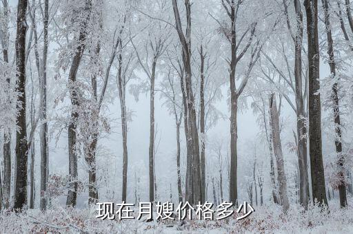 现在月嫂价格多少