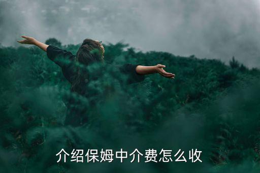 介绍保姆中介费怎么收