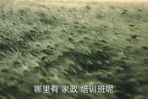 哪里有 家政 培训班呢