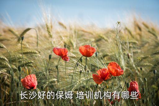长沙好的保姆 培训机构有哪些