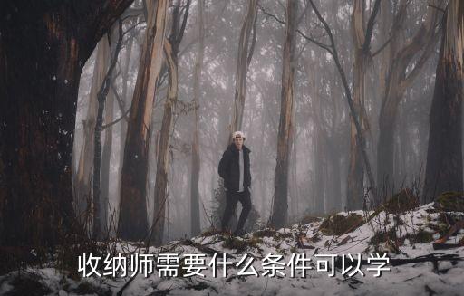  收纳师需要什么条件可以学
