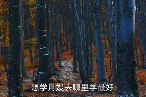 想学月嫂去哪里学最好