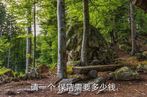 请一个 保洁需要多少钱