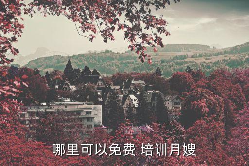 哪里可以免费 培训月嫂