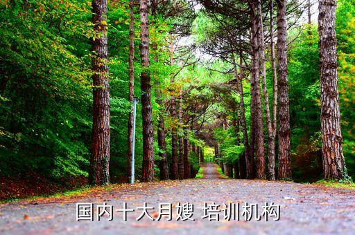 国内十大月嫂 培训机构