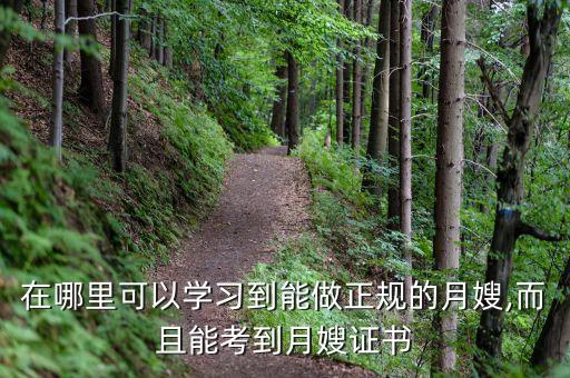 在哪里可以学习到能做正规的月嫂,而且能考到月嫂证书