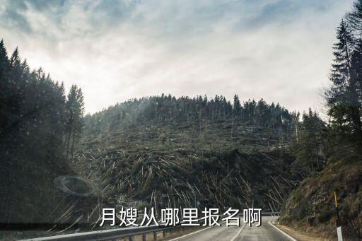 月嫂从哪里报名啊