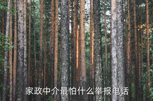  家政中介最怕什么举报电话